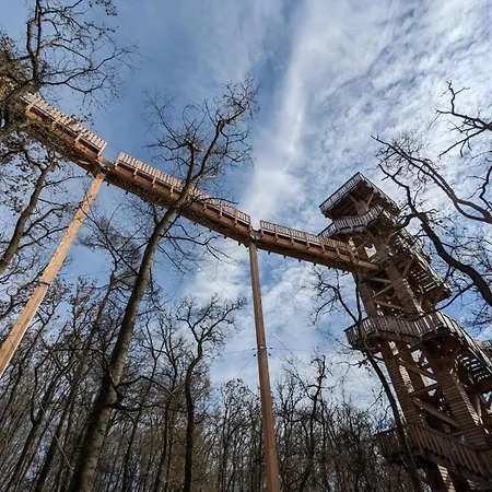 Daire In Near Center Bad Camberg