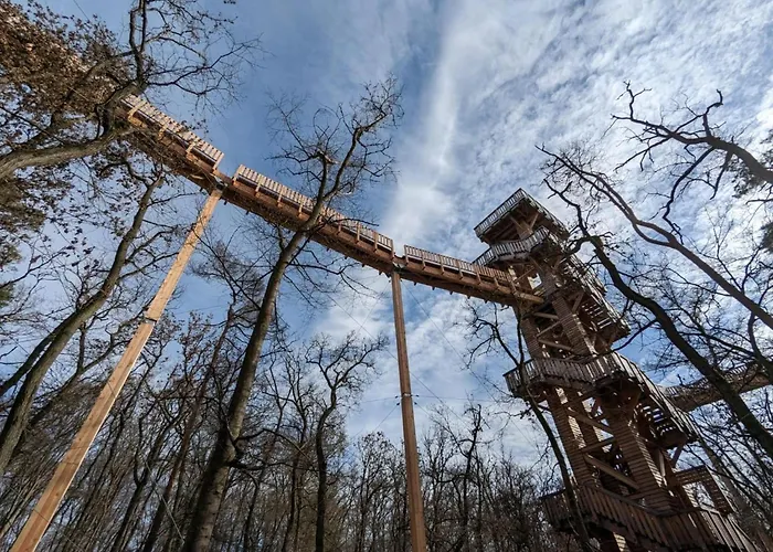 公寓 In Near Center 巴德坎贝格