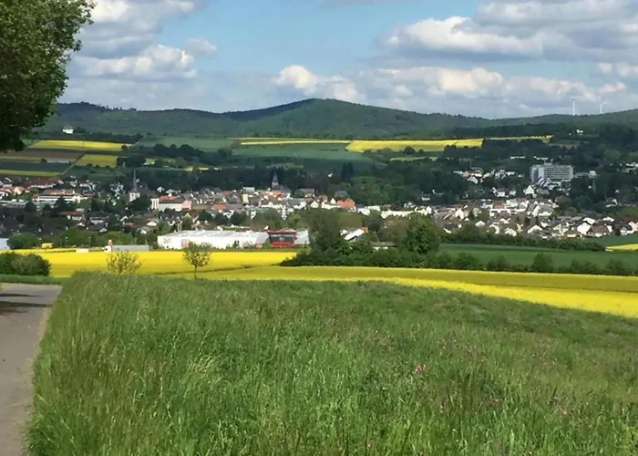 公寓 In Near Center *